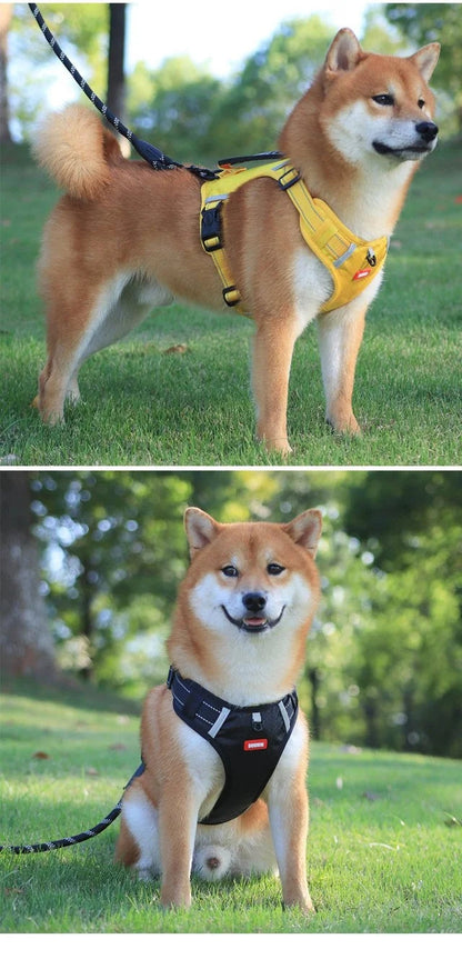 🔥 50% הנחה על יום שישי השחור! 🐕‍🦺 רתמה לכלבים עם הגנה מפני משיכה 🐾 די למשיכה ברצועה!